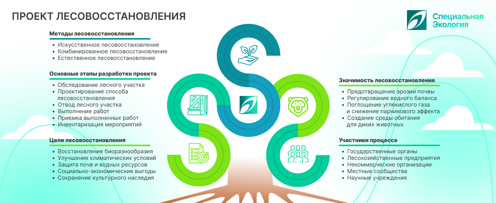 Проект лесовосстановления
